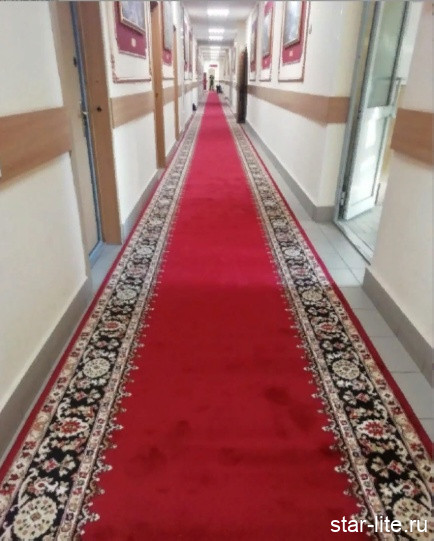 Ковровая дорожка Da Vinci 1952 red