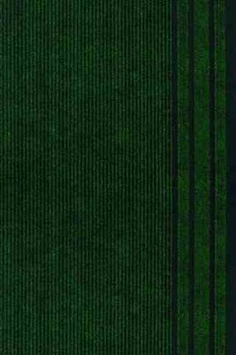 Грязезащитная ковровая дорожка Record 859-green Sintelon