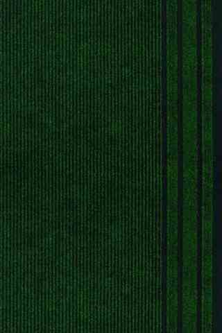 Грязезащитная ковровая дорожка Record 859-green Sintelon