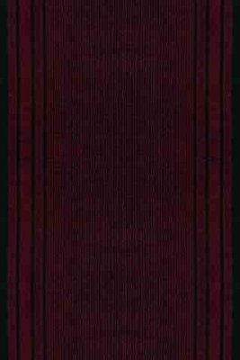Грязезащитная ковровая дорожка Record 877 red Sintelon 