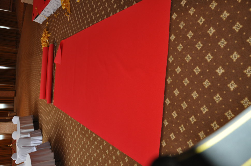 Красная дорожка Scarlet