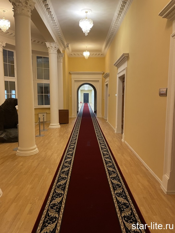 Ковровая дорожка Colizey d040 Red