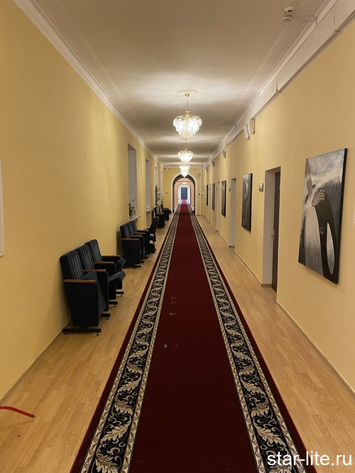 Ковровая дорожка Colizey d040 Red