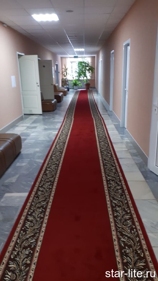 Дорожка Лайла де люкс 15419_10366 красный