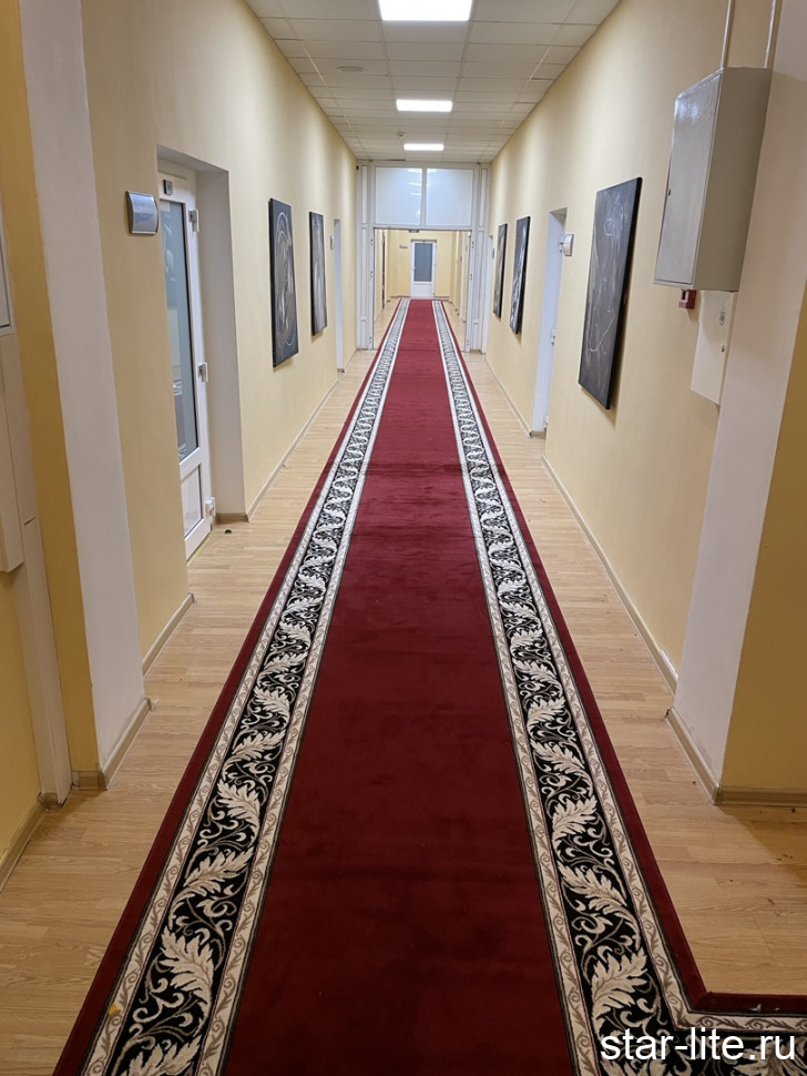 Дорожка Кремлевская Дебют 50-04